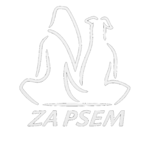logo za psem behawiorysta psów