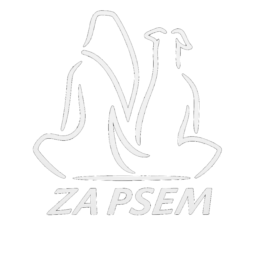 logo za psem behawiorysta psów