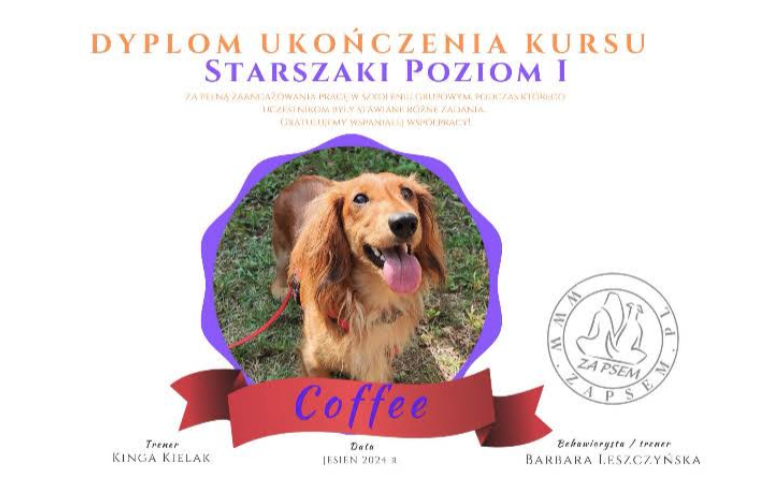 Opinia Adrianny Ciwoniuk o Za Psem